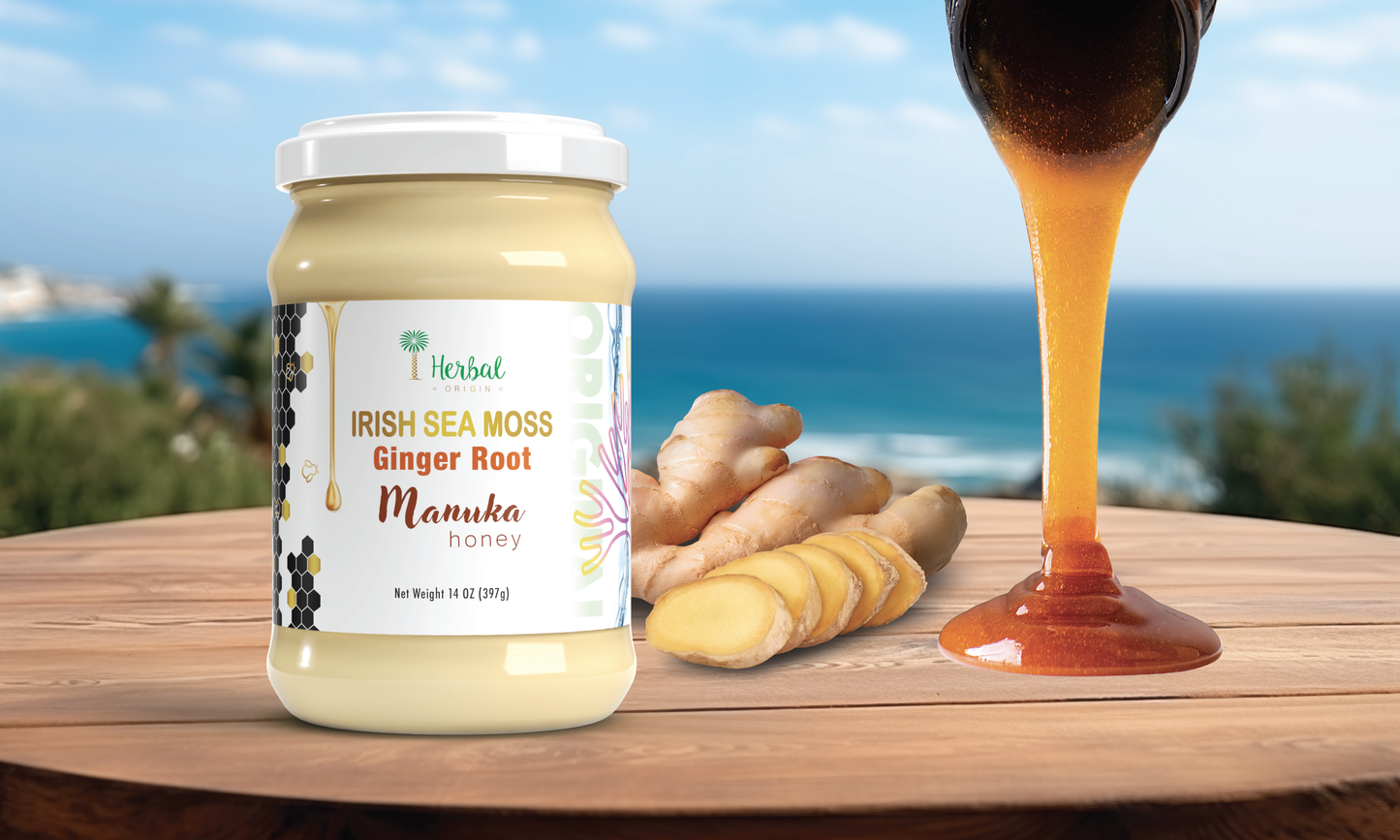 Irish Sea Moss Gel Blend with Ginger Root and Raw Manuka Honey | Premium SuperFoods Elixir Net WT. 14 OZ (397g)