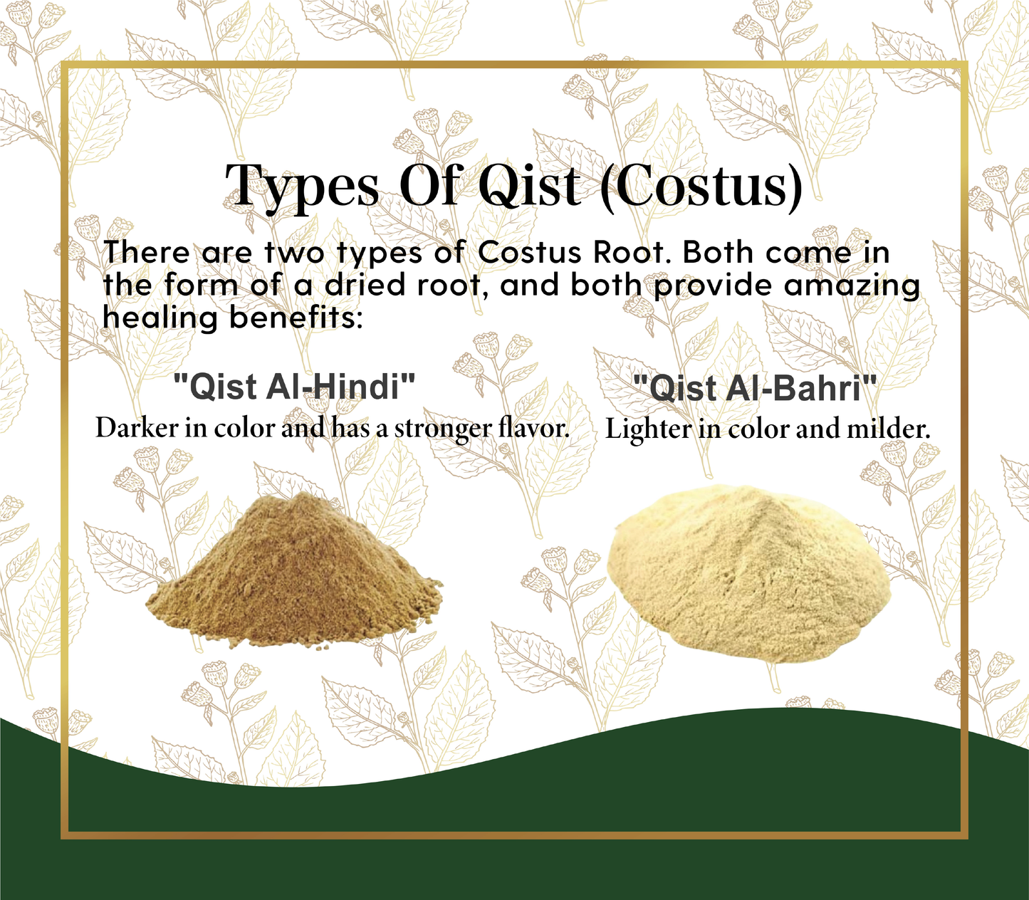 Qist Al-Hindi (Saussurea Costus) | Premium Sort Of Costus Root Powder | 100% Organic & Natural Supplement | Powder - Net WT. 6 OZ. (170Gr.)