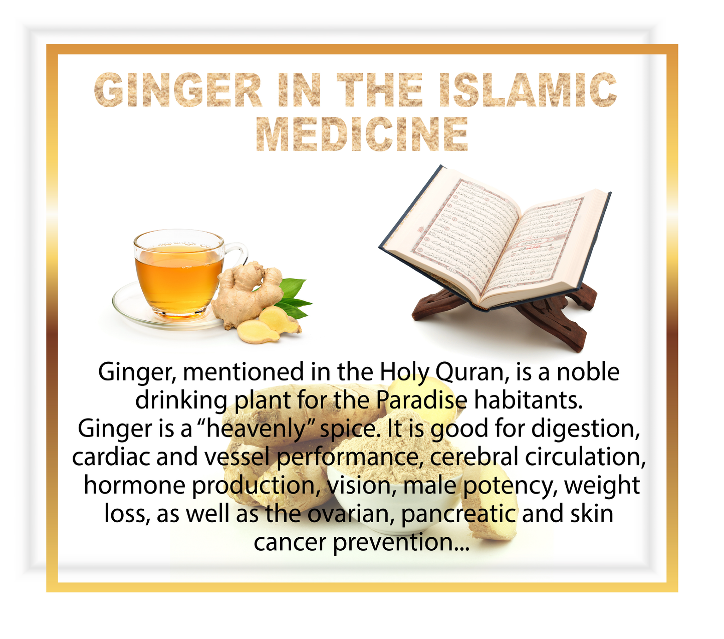 Ginger Root Powder (Zingiber Officinale) | Premium Sort | 100% Natural | Organic Ginger Powder | NET WT. 7 Oz. (200g)